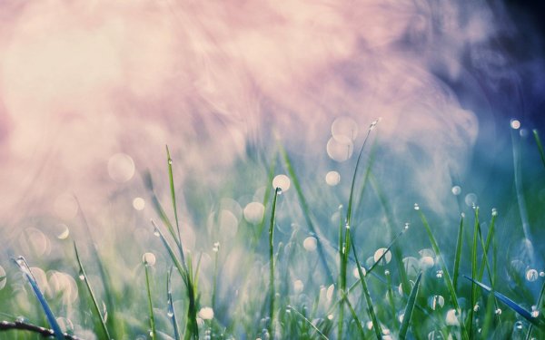 фон весенний