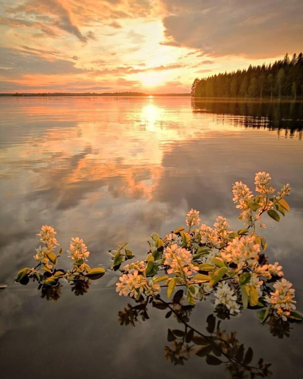 пейзажи карелии