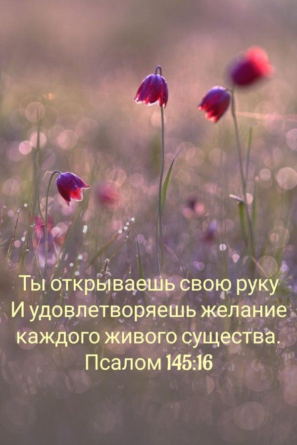 библейские стихи