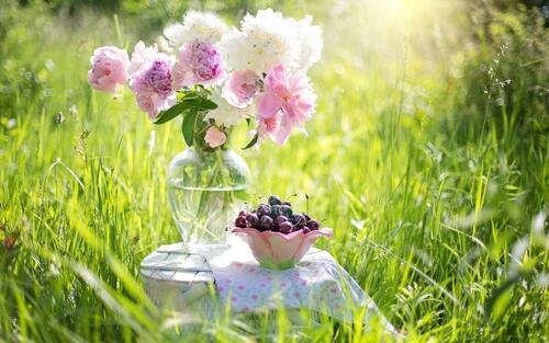 летнего утра