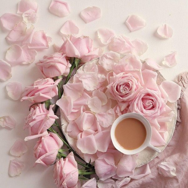 доброго утра розы