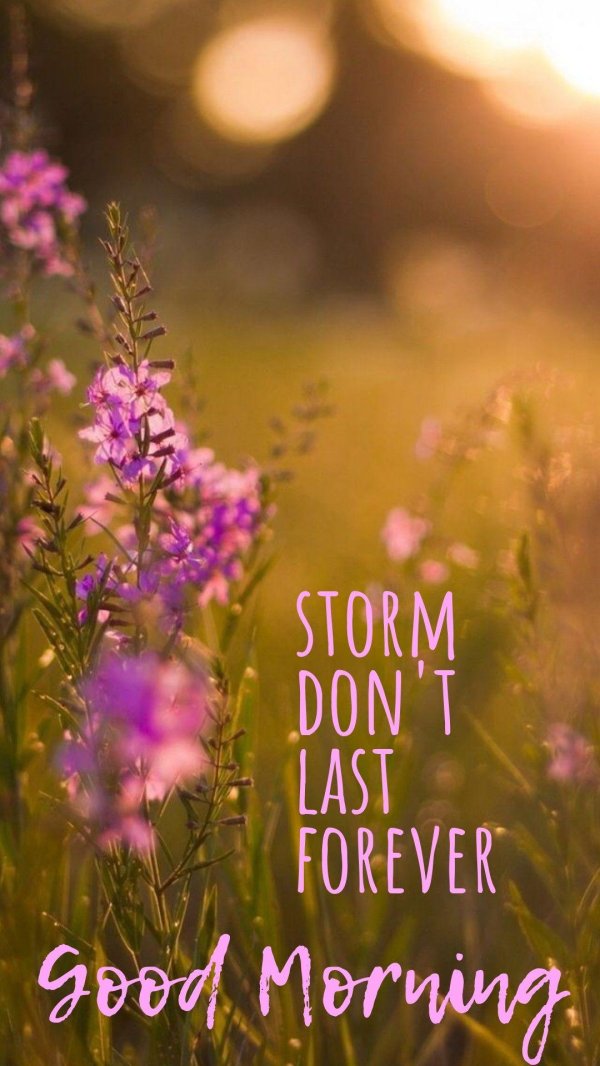 кипрей узколистный