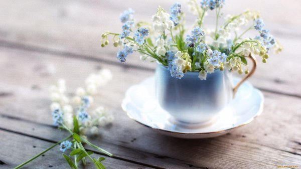 букет незабудки