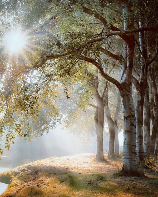 солнечные пейзажи