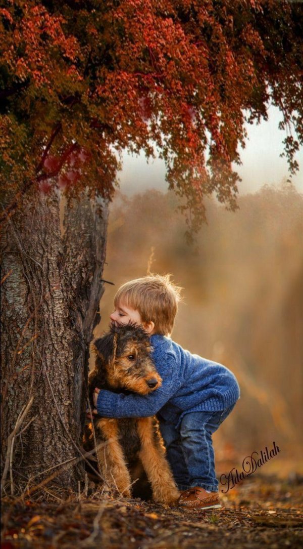 адриан мюррей фотограф