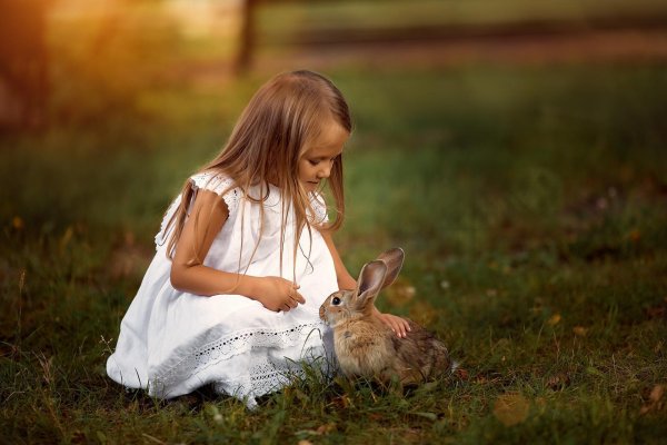 заяц девочка