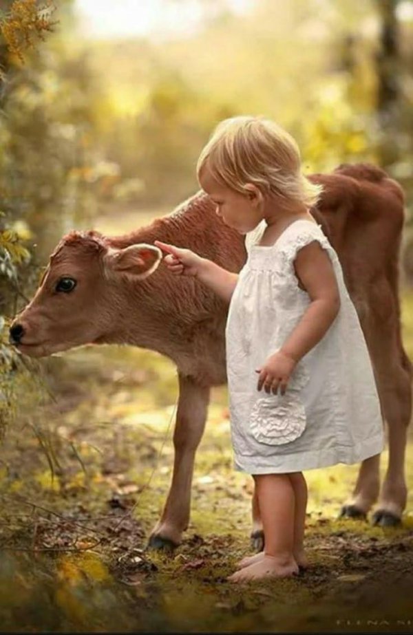 фотограф елена шумилова