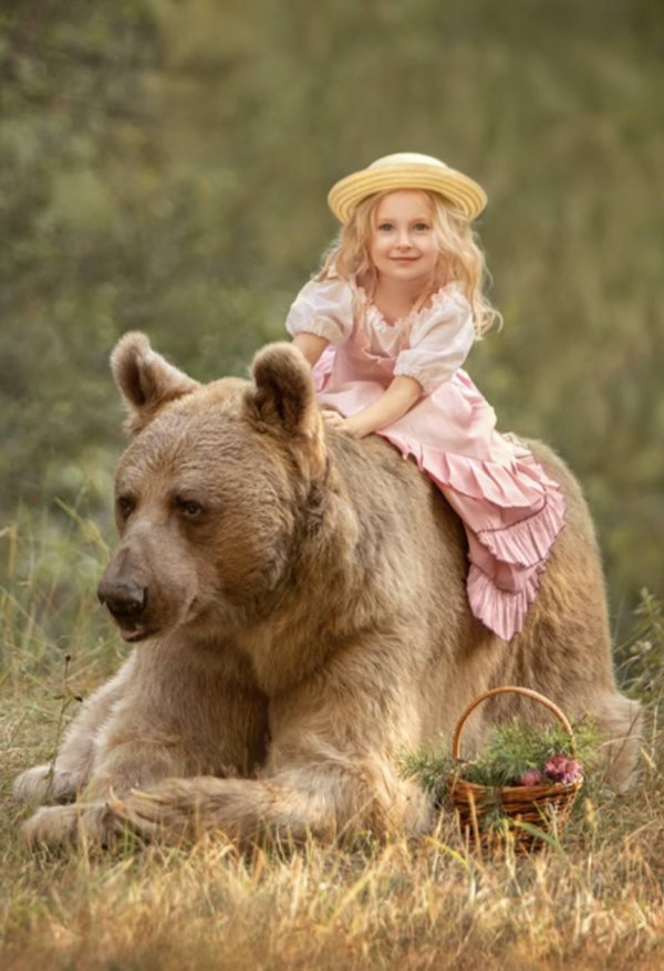 девушка и медведь