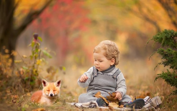 животные осень