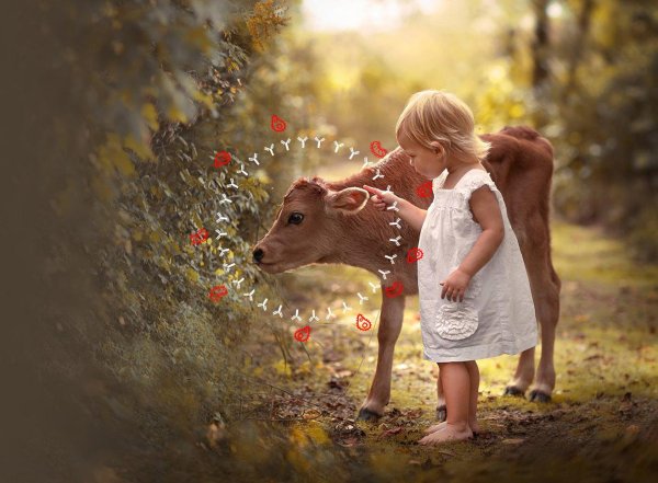 фотограф елена шумилова