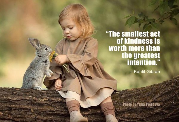 девочка с кроликом