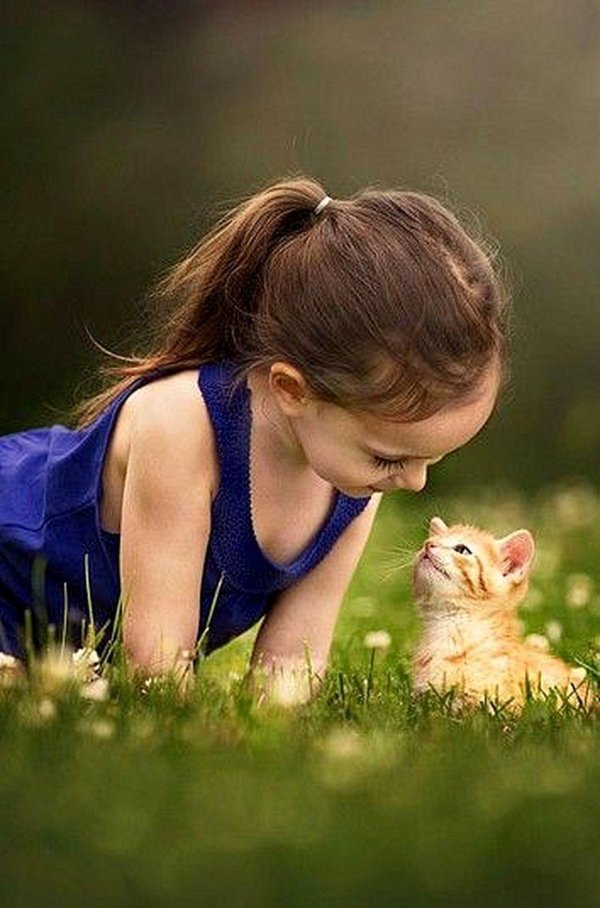 девочка и котик