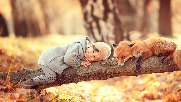 животные осень