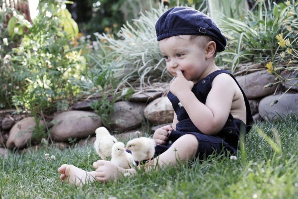 фотосессия с цыплятами