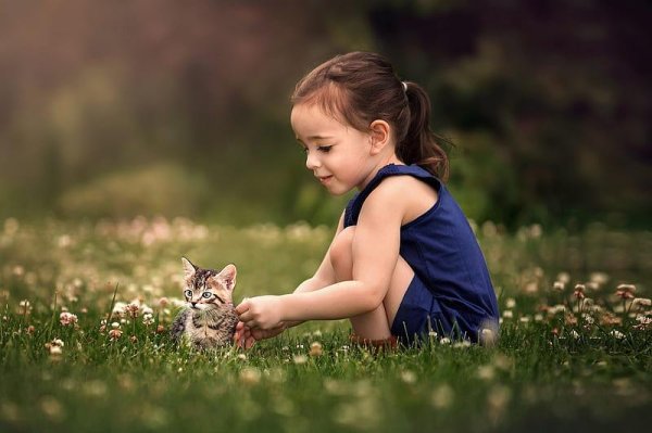 дети природа