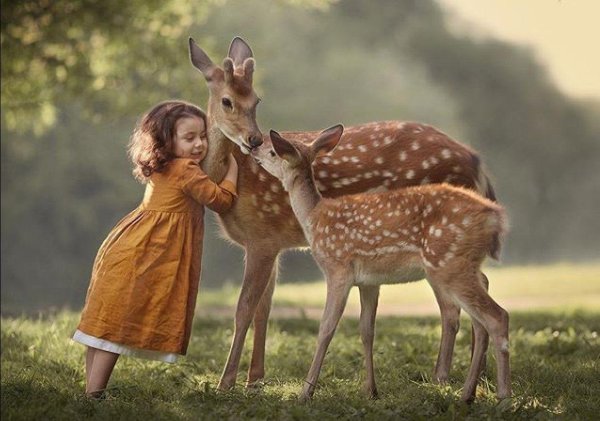 милые детеныши животных