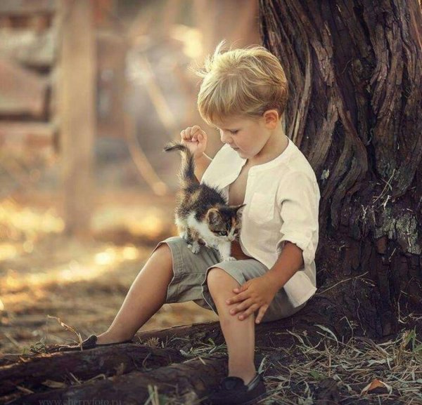 мальчик с котенком