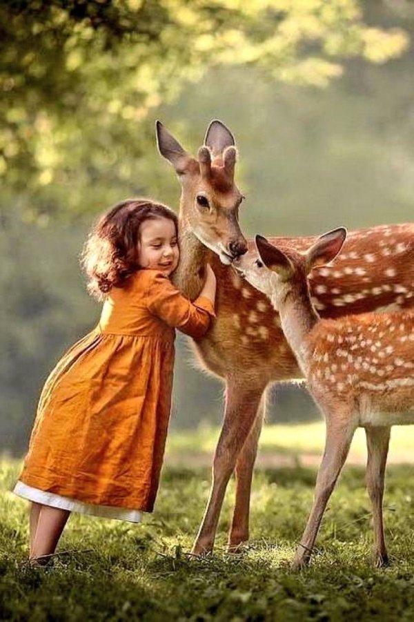 маленькие оленята