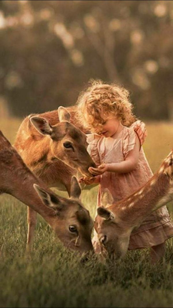 животные для детей настоящие