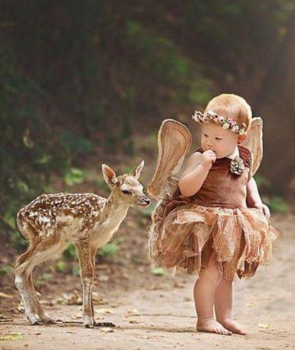 европейская лань