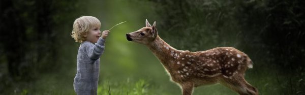 любопытный олененок