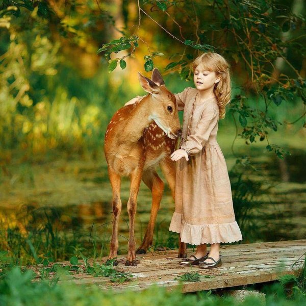 фотосессия с животными