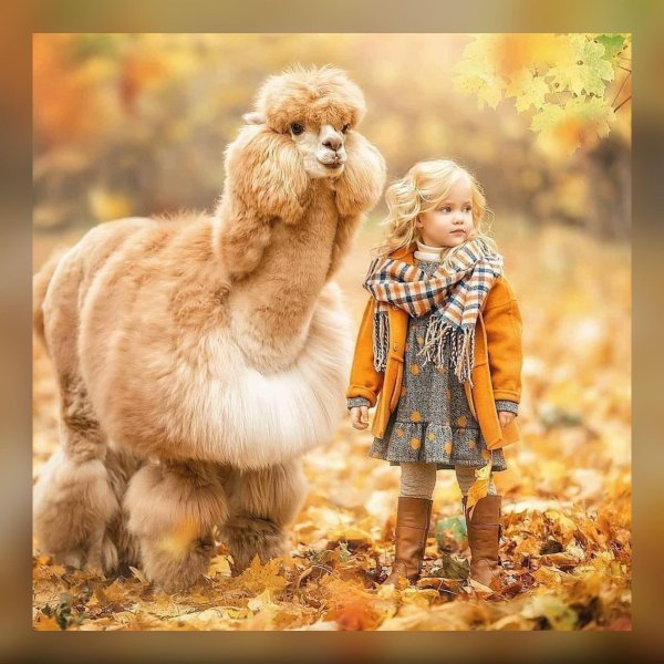 ирина недялкова фотограф