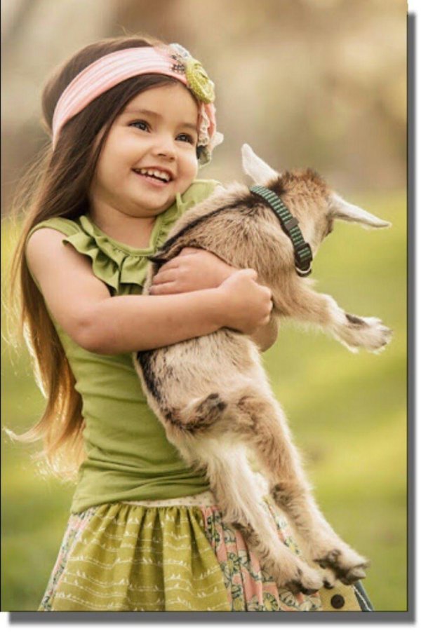 девочка с животными