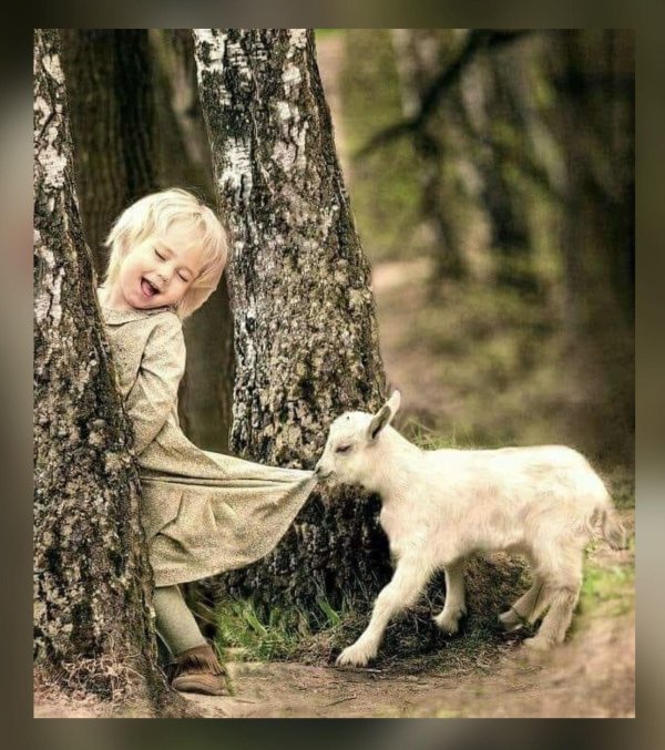 козленок для детей