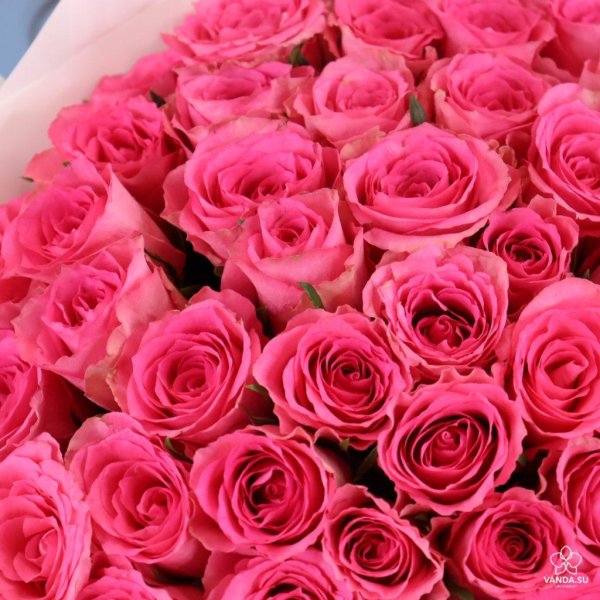 розовые розы букет