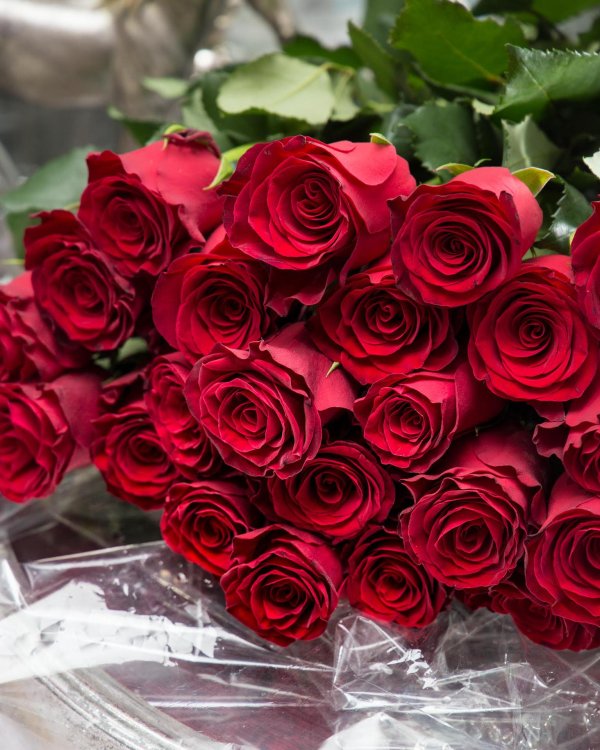 розы шикарный букет