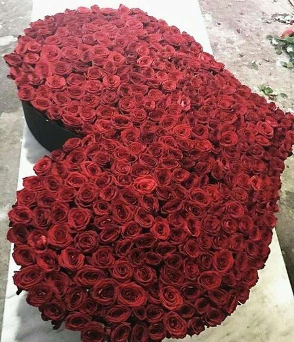 огромные букеты цветов