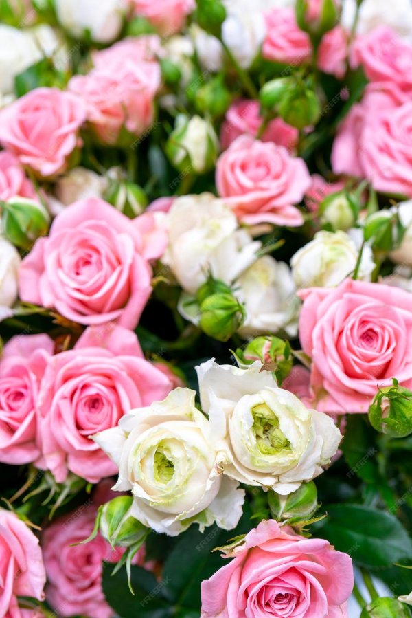 Самые с цветами роз