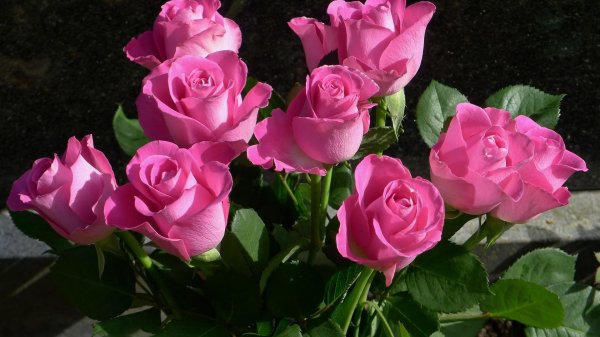 роза лав леттер