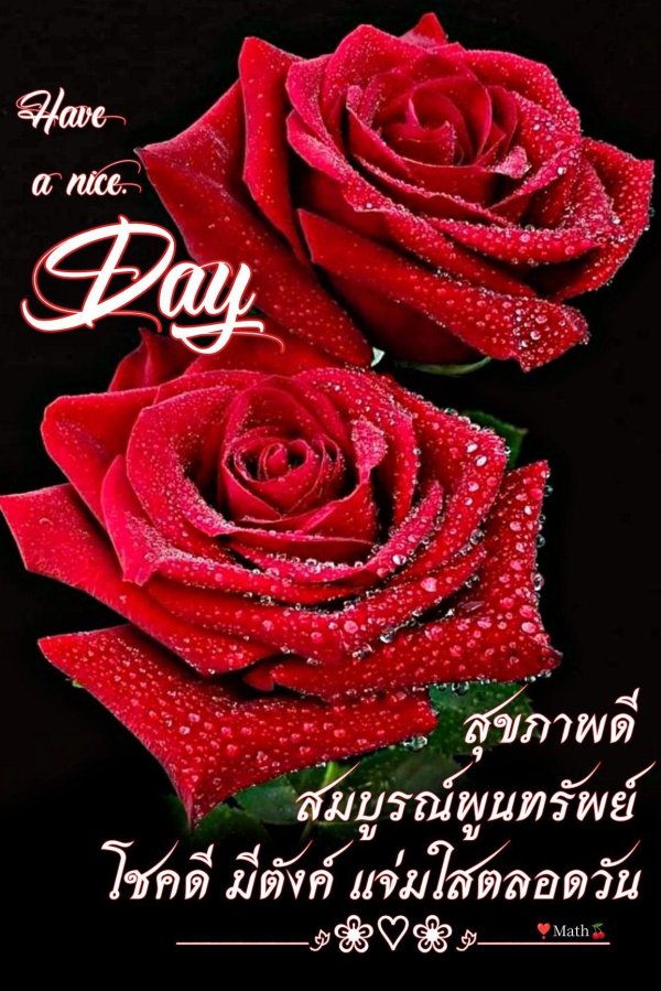 Самые с цветами роз