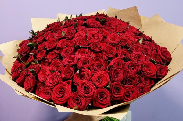 большой букет алых роз