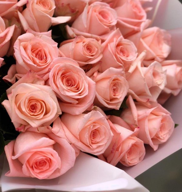 букет персиковых роз