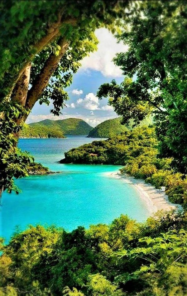 виргинские острова