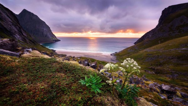 азорские острова