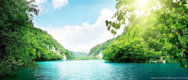 зеленое море