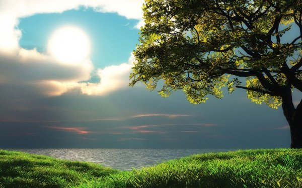 фон природа