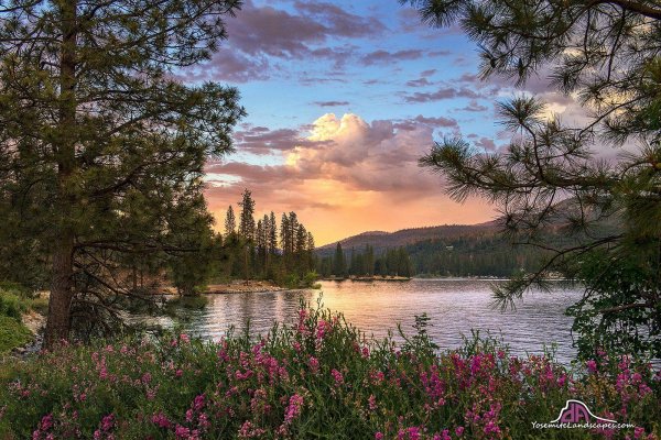 красивейшие пейзажи