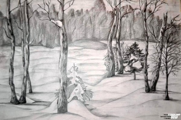 рисунок карандашом природа