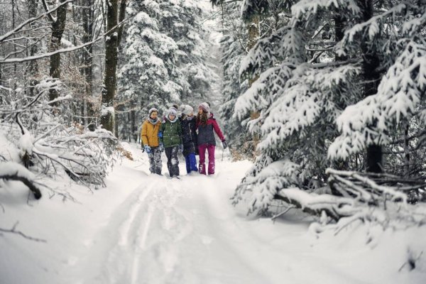 зимний туризм