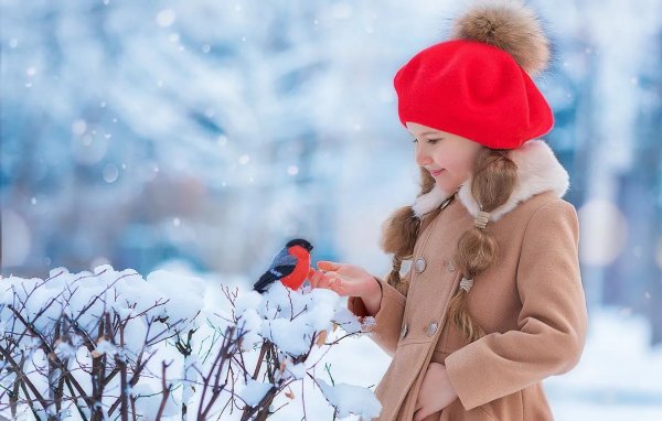девушка со снегирями