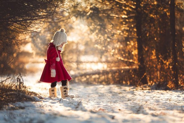 зимние фотосессии