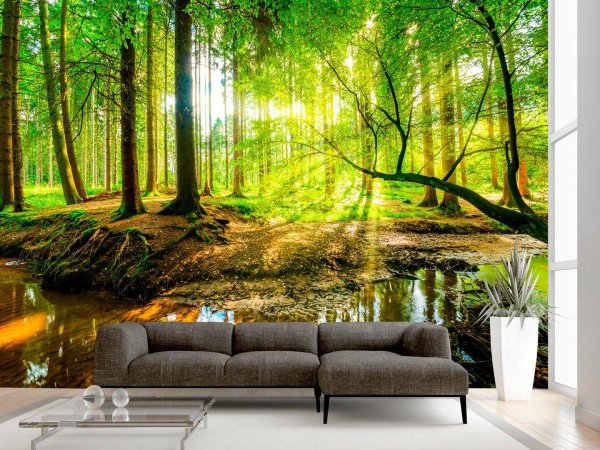 солнечный лес