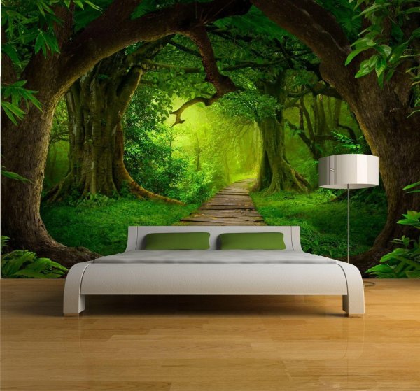 комната природы