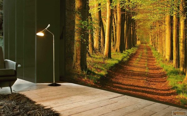 комната природы