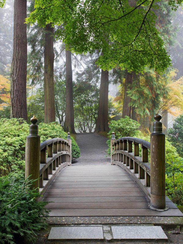 На стену природа